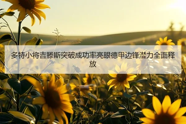 多特小将吉滕斯突破成功率亮眼德甲边锋潜力全面释放