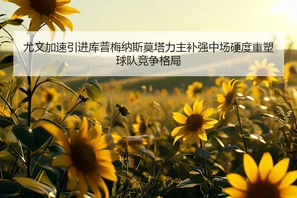 尤文加速引进库普梅纳斯莫塔力主补强中场硬度重塑球队竞争格局